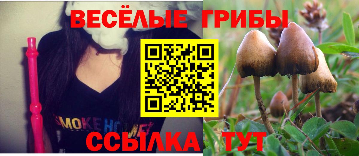 Галлюциногенные грибы MAGIC MUSHROOMS Нягань